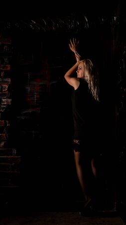 Cute blonde woman in gorgeous dressの写真素材