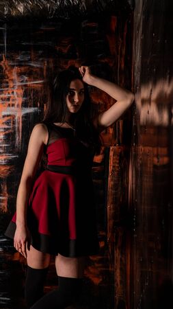 Pretty young sexy model female with dark hair in amazing long red dress and black shoes posing in dark studio.の写真素材