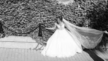 Bride and groom walking away in summer park outdoors.のeditorial素材