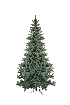 Unadorned Christmas tree, pine isolated on whiteの写真素材