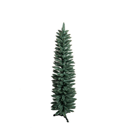 Unadorned Christmas tree, pine isolated on whiteの写真素材