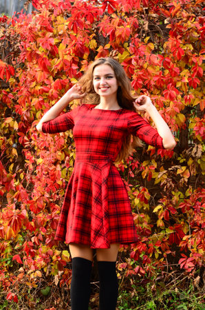 Outdoor fashion photo of young beautiful lady surrounded autumn leaves.の写真素材