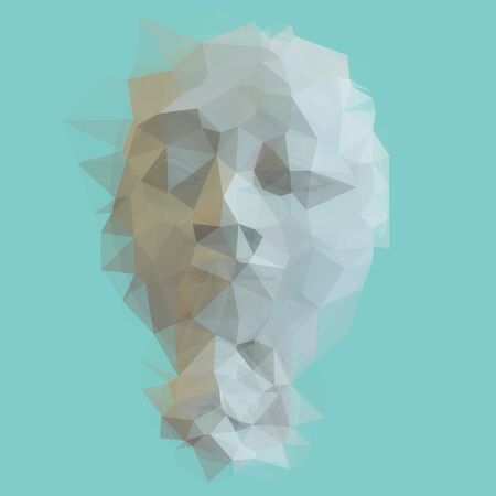 Abstract image of a polygon shaped human faceの写真素材