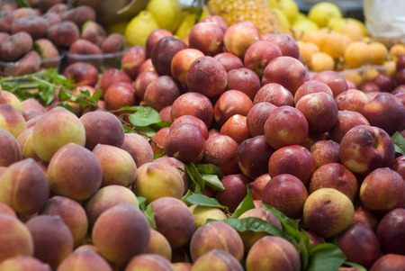 peachesの写真素材