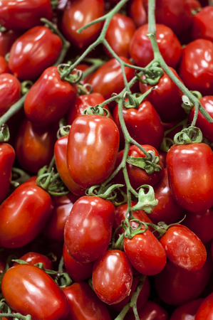 Fresh tomato display at the farmers Marketの写真素材