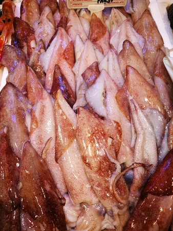 Close up of fresh whole squid or octopus in fish market.