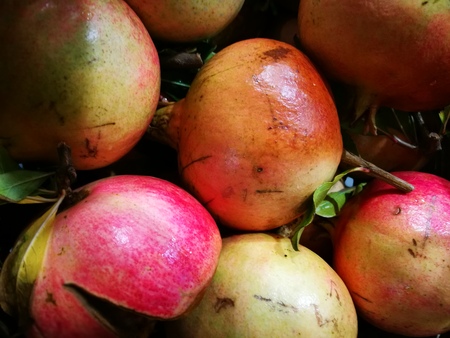 Colorful selection of pomegranate on the farmers market in Rome