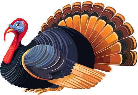 Turkey standing proudly, displaying a large fanned tail with rich autumn colors. Vector illustration for holiday and harvest themesのイラスト素材