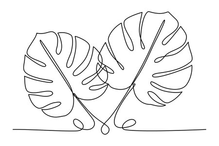 Monstera deliciosa continuous line drawingのイラスト素材