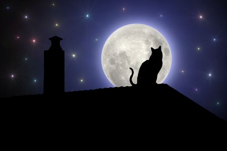 Cat on the roof at nightの写真素材