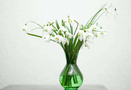 White lily of the valley in bouquetの写真素材