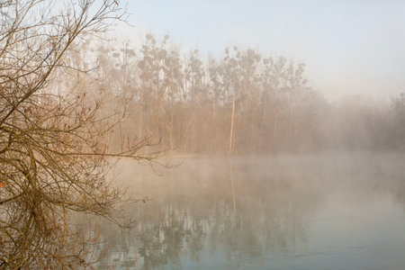 fog over the lake, cold morning, late autumn in parkの写真素材