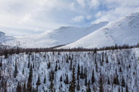 Hibiny mountains, springtime at Russian Nord, sunshineの写真素材
