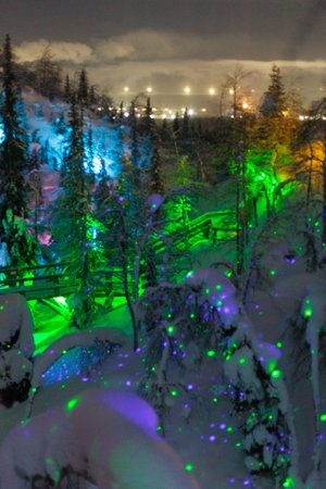 Magic forest at winter, Mysterious Forest in Murmansk region, Kirovsk, fantastic creationの写真素材