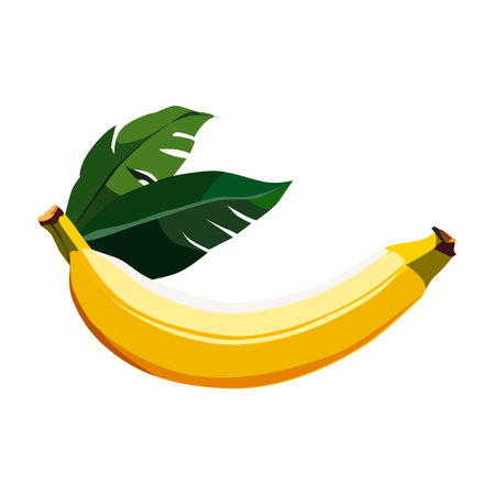 Tropical healthy yellow banana with green leaves isolated on white background. Vector fruit illustration in flat style. Summer beach clipart for design of card, banner, flyer, sale, poster, iconsのイラスト素材