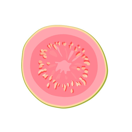 Pink thin slice of guava. Isolated vector sliced fruit in flat style. Summer clipart for designのイラスト素材