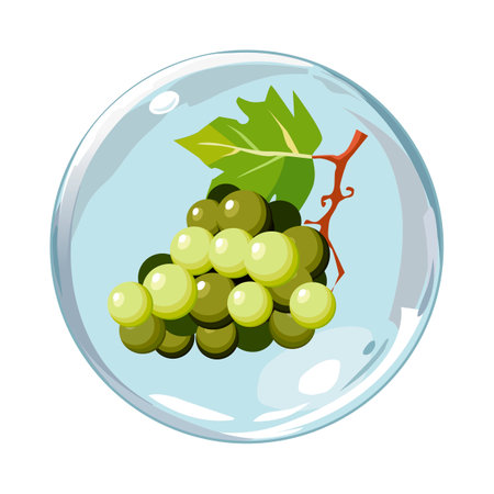 Healthy green grape in air bubble. Isolated vector summer fruit for designのイラスト素材