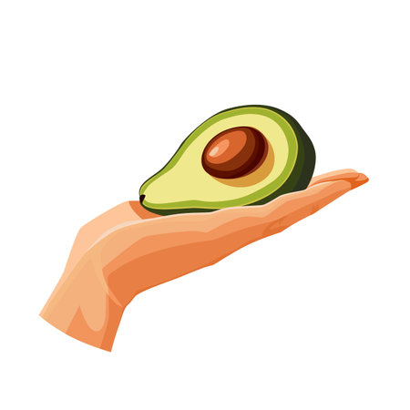 Freshly and healthy green half avocado in the palm of the hand isolated on white background. Vector illustration in flat style with dietary vegetable. Clipart for card, banner, flyer, poster designのイラスト素材