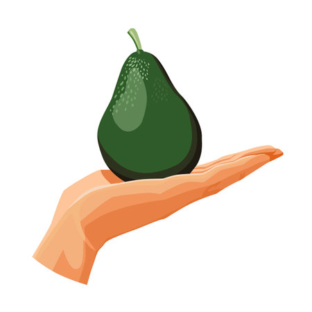 Freshly and healthy whole green avocado in the palm of the hand isolated on white background. Vector illustration in flat style with dietary vegetable. Clipart for card, banner, flyer, poster designのイラスト素材