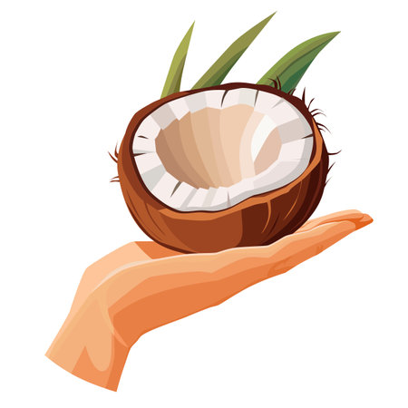 Freshly and healthy coconut in the palm of the hand isolated on white background. Vector illustration in flat style with tropical fruit. Clipart for card, banner, flyer, poster designのイラスト素材