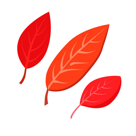 Vector autumn red and orange dry rowan leaves. Clipart is on white background. Isolated flat illustration with brown plants for design, greeting card, banner, board, flyer, sale, posterのイラスト素材