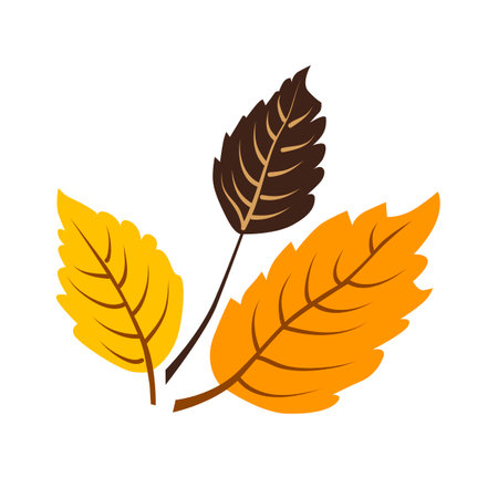 Vector autumn yellow dry alder leaves. Clipart is on white background. Isolated flat illustration with brown plants for design, greeting card, banner, board, flyer, sale, posterのイラスト素材