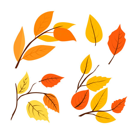 Set of vector autumn yellow dry leaves. Clipart is on white background. Isolated flat illustration with brown plants for design, greeting card, banner, board, flyer, sale, posterのイラスト素材