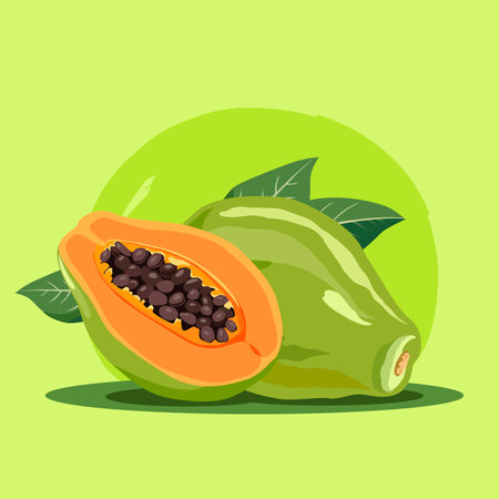 Tropical green papaya . Vector fruit illustration in flat style. Summer clipart for designのイラスト素材