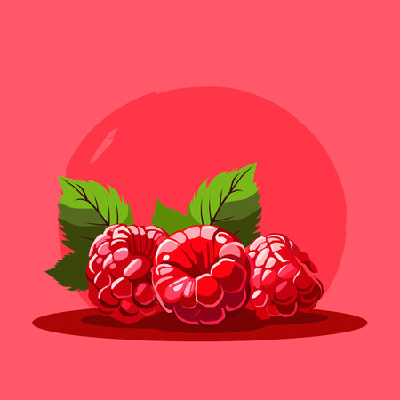 Handful of red raspberries. Vector fruit illustration in flat style. Summer clipart for diet designのイラスト素材