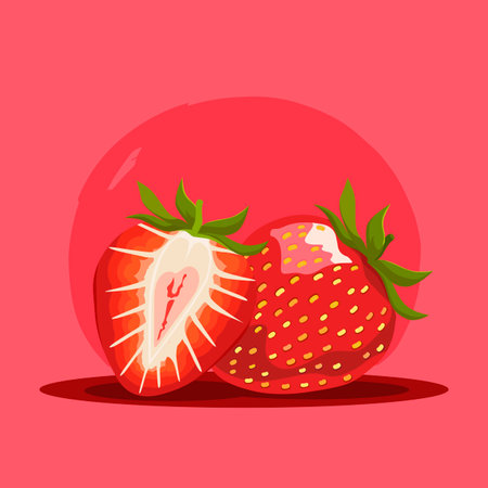 Juicy red cherries. Vector fruit illustration in flat style. Summer clipart for diet designのイラスト素材