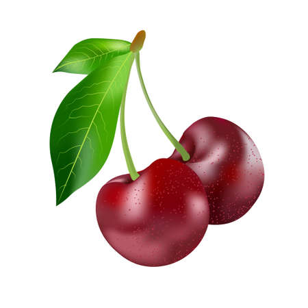 Cherries_with 2 leaves