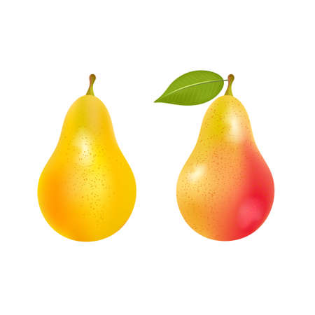 Pear Autumn Taste Japanese Pear Pear Pearのイラスト素材