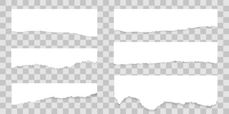 Torn white paper strips with soft shadow are stuck on transparent background. Vector illustrationのイラスト素材
