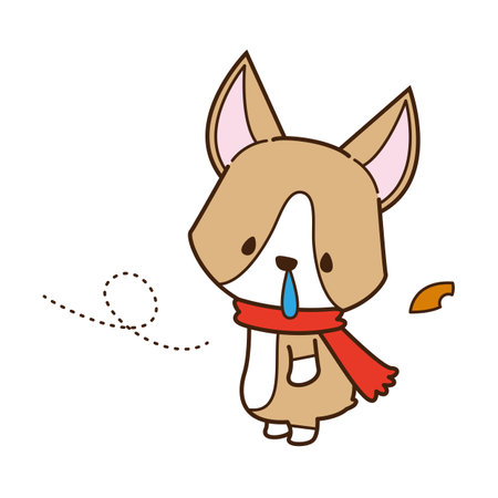 Corgi mufflering outside in the cold and inging a runny noseの写真素材