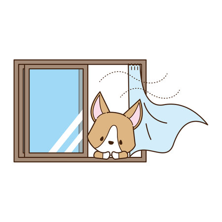 a corgi that opens a window for ventilationの写真素材