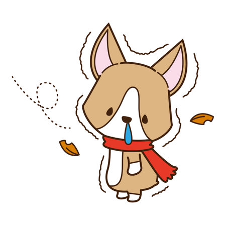 Corgi mufflering outside in the cold and inging a runny noseの写真素材