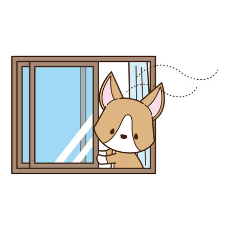 a corgi that opens a window for ventilationの写真素材
