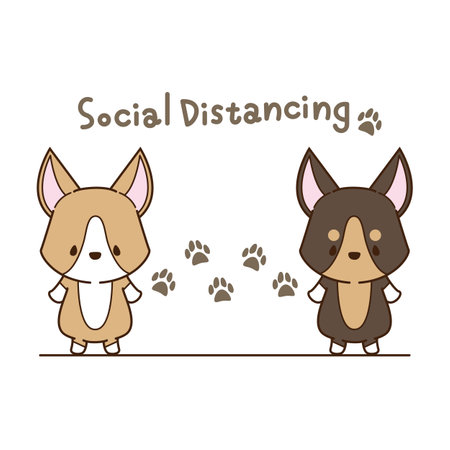 a corgi that takes social distanceの写真素材