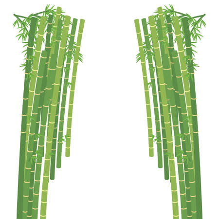 It is an illustration of a bamboo grove in Arashiyama, Kyoto.のイラスト素材