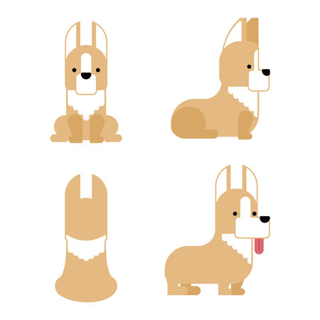 It is an illustration of a set of 4 graphical and simple dog poses (corgi).のイラスト素材