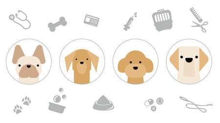 Illustration of a set of graphical and simple dog icons (French Bulldog, Dachshund, Miniature Poodle, Retriever).のイラスト素材