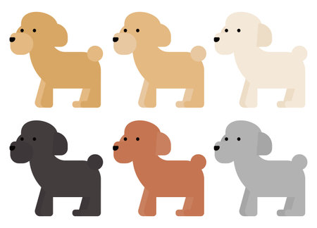 It is an illustration of color variations of a graphical and simple miniature poodle.のイラスト素材