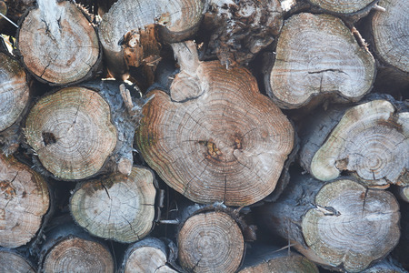 Cut timber laying stacked to pattern textureの写真素材