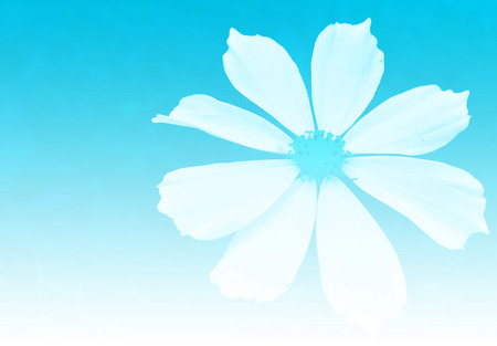flower abstract background,cyan color toneの写真素材