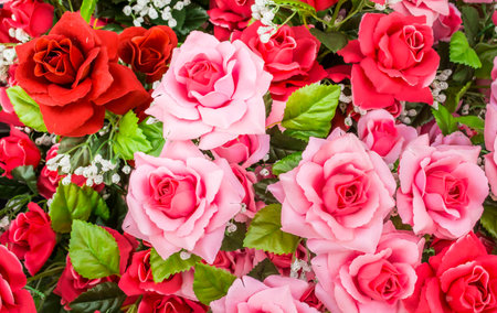 bstract background of flowersの写真素材