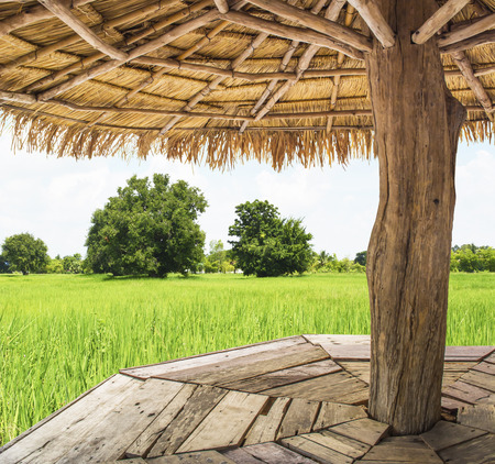 Shows the view from the inside of the pavilion, surrounded by grassfieldの写真素材