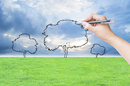 hand drawing a tree on the grass field and sky backgroundの写真素材