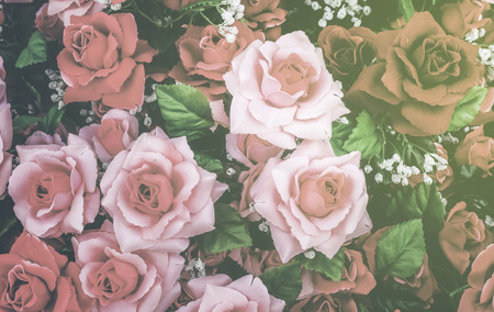 Abstract background of rose flowers,vintage style processの写真素材