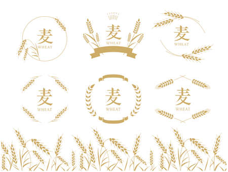 Wheat illustration materialのイラスト素材