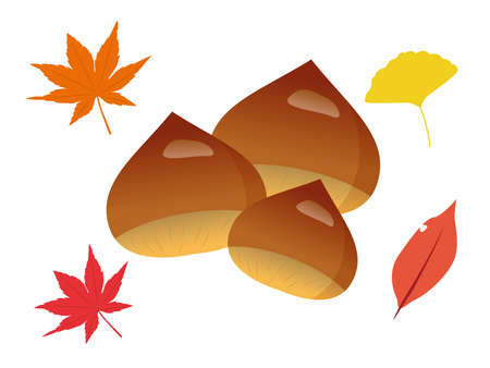 Autumn Chestnut Illustrationsのイラスト素材